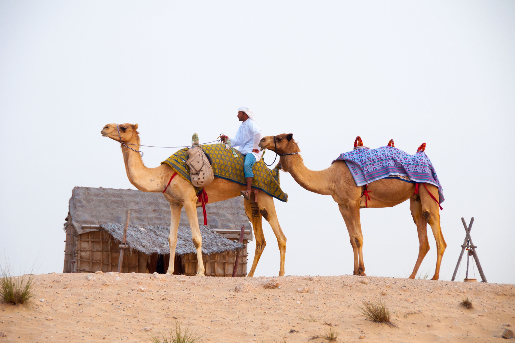 1664286551_436922-DUBAI(1).png
