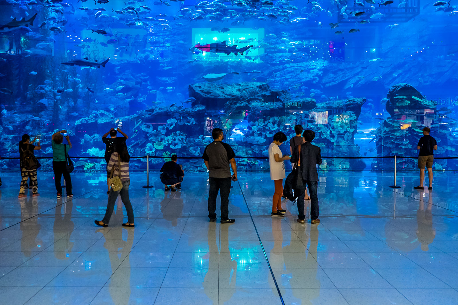 1704360697_165163-Dubai-under-water.jpg
