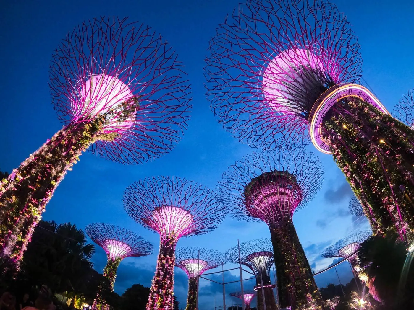 1741692023_363724-Dazzling_Singapore_.webp