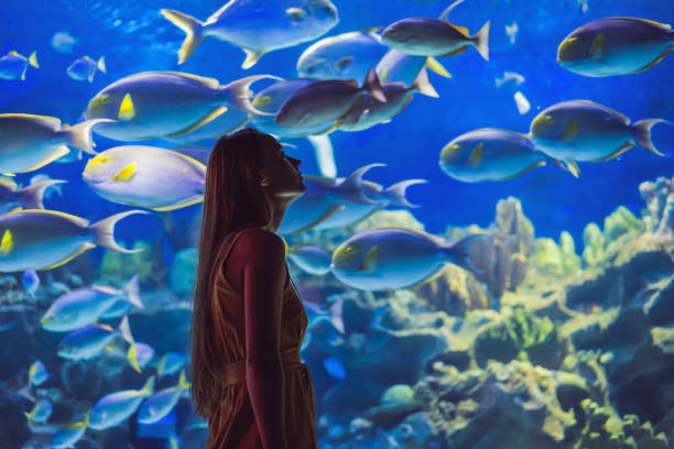 Explore Dubai With Underwater Zoo