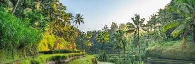 Astonishing Honeymoon Bali Tour Package From Ahmedabad